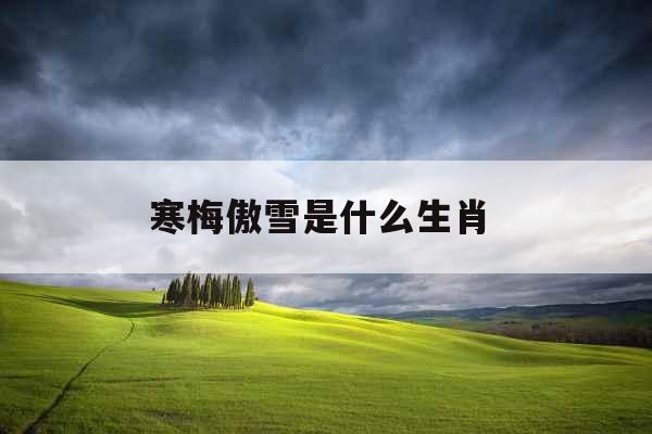 寒梅傲雪是什么生肖 