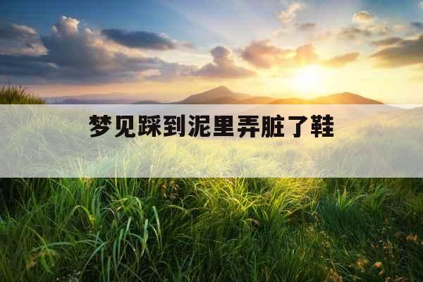 梦见踩到泥里弄脏了鞋 梦见踩到泥里弄脏了鞋