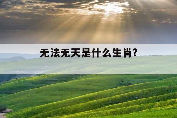 无法无天是什么生肖? 无法无天是什么生肖?