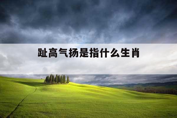 趾高气扬是指什么生肖 趾高气扬是指什么生肖