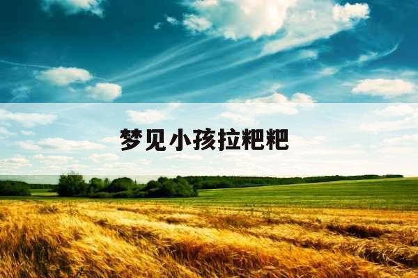 梦见小孩拉粑粑  梦见小孩拉粑粑