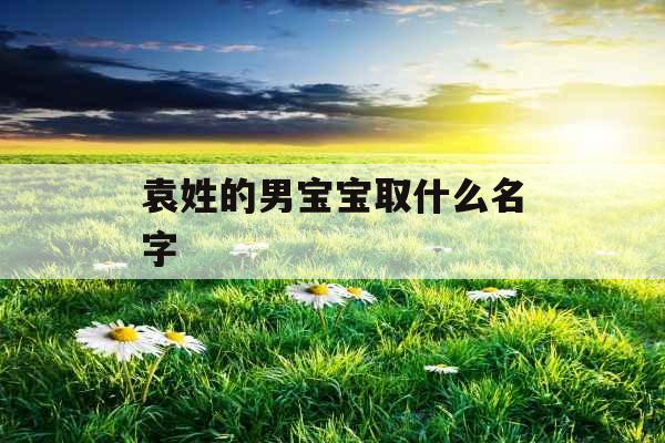 袁姓的男宝宝取什么名字 袁姓的男宝宝取什么名字