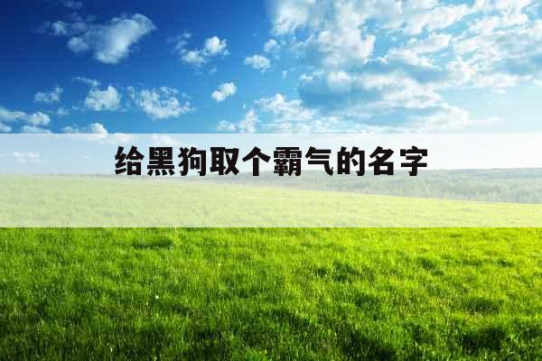 给黑狗取个霸气的名字 给黑狗取个霸气的名字