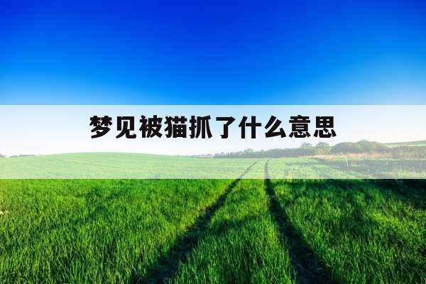 梦见被猫抓了什么意思  梦见被猫抓了什么意思