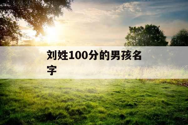 刘姓100分的男孩名字  刘姓100分的男孩名字