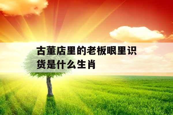 古董店里的老板眼里识货是什么生肖 古董店里的老板眼里识货是什么生肖