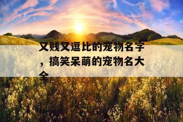 又贱又逗比的宠物名字,搞笑呆萌的宠物名大全 又贱又逗比的宠物名字,搞笑呆萌的宠物名大全