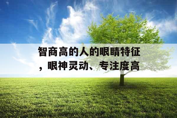 智商高的人的眼睛特征,眼神灵动、专注度高 智商高的人的眼睛特征,眼神灵动、专注度高