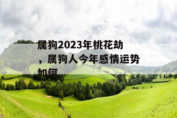 属狗2023年桃花劫，属狗人今年感情运势如何