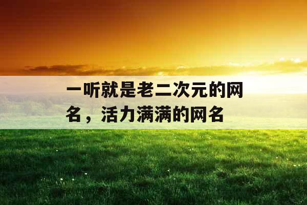 一听就是老二次元的网名,活力满满的网名 一听就是老二次元的网名,活力满满的网名