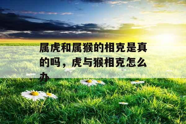 属虎和属猴的相克是真的吗,虎与猴相克怎么办 属虎和属猴的相克是真的吗,虎与猴相克怎么办