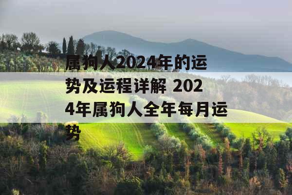 属狗人2024年的运势及运程详解 2024年属狗人全年每月运势