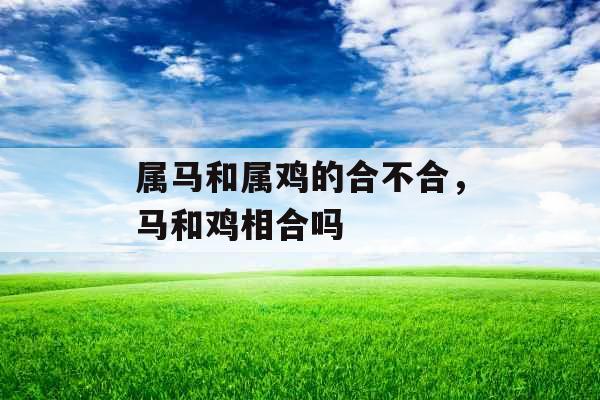 属马和属鸡的合不合,马和鸡相合吗 属马和属鸡的合不合,马和鸡相合吗