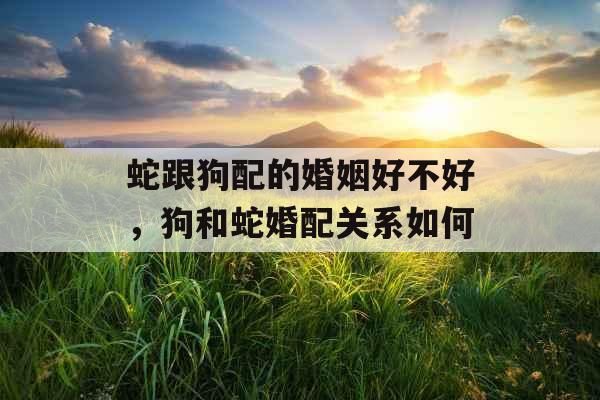 蛇跟狗配的婚姻好不好，狗和蛇婚配关系如何