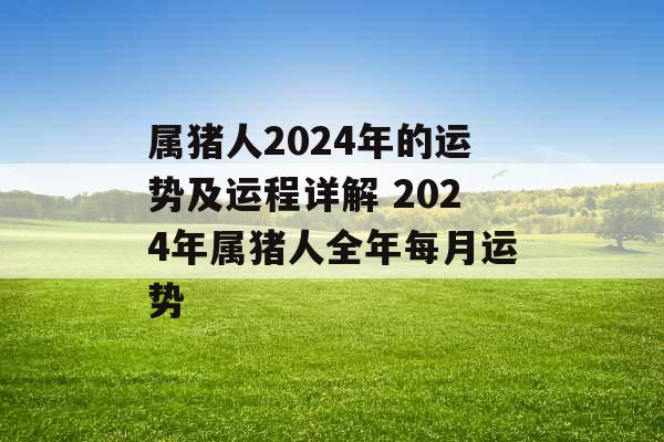 属猪人2024年的运势及运程详解 2024年属猪人全年每月运势 属猪人2024年的运势及运程详解 2024年属猪人全年每月运势