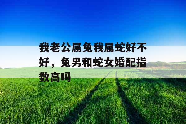 我老公属兔我属蛇好不好,兔男和蛇女婚配指数高吗 我老公属兔我属蛇好不好,兔男和蛇女婚配指数高吗