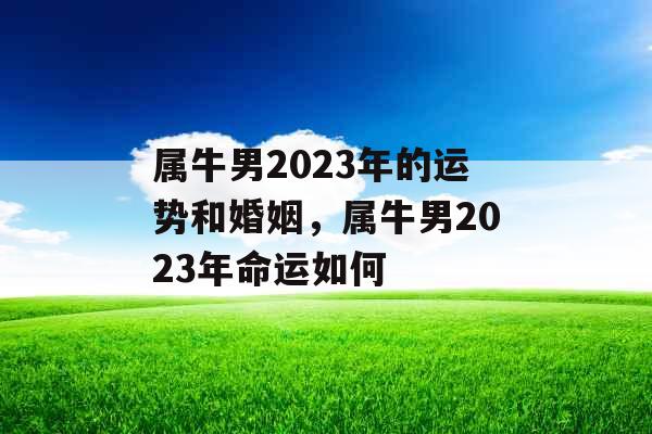属牛男2023年的运势和婚姻,属牛男2023年命运如何 属牛男2023年的运势和婚姻,属牛男2023年命运如何