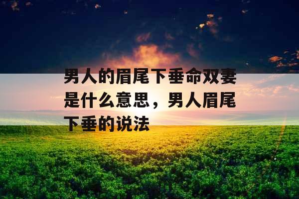 男人的眉尾下垂命双妻是什么意思，男人眉尾下垂的说法