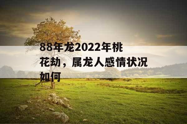 88年龙2022年桃花劫,属龙人感情状况如何 88年龙2022年桃花劫,属龙人感情状况如何