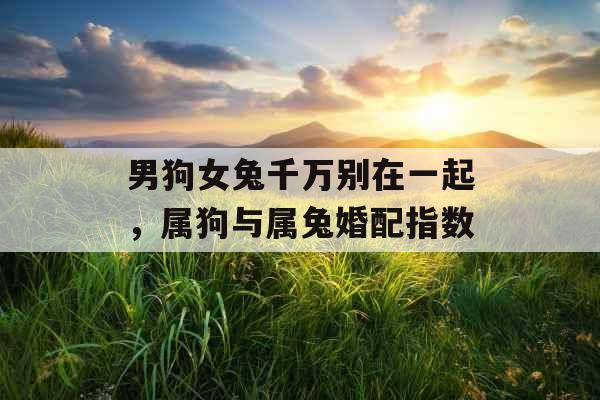 男狗女兔千万别在一起,属狗与属兔婚配指数 男狗女兔千万别在一起,属狗与属兔婚配指数