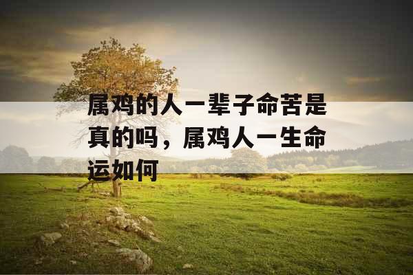 属鸡的人一辈子命苦是真的吗,属鸡人一生命运如何 属鸡的人一辈子命苦是真的吗,属鸡人一生命运如何