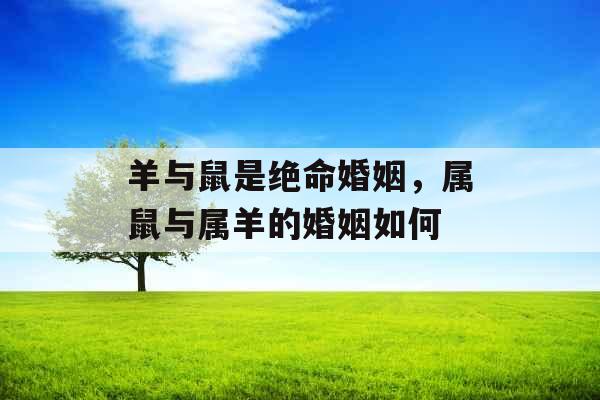 羊与鼠是绝命婚姻,属鼠与属羊的婚姻如何 羊与鼠是绝命婚姻,属鼠与属羊的婚姻如何