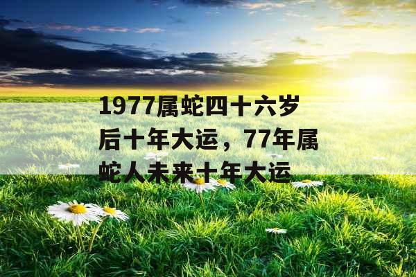 1977属蛇四十六岁后十年大运,77年属蛇人未来十年大运 1977属蛇四十六岁后十年大运,77年属蛇人未来十年大运