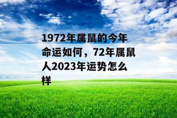 1972年属鼠的今年命运如何,72年属鼠人2023年运势怎么样 1972年属鼠的今年命运如何,72年属鼠人2023年运势怎么样