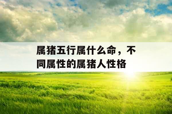 属猪五行属什么命,不同属性的属猪人性格 属猪五行属什么命,不同属性的属猪人性格