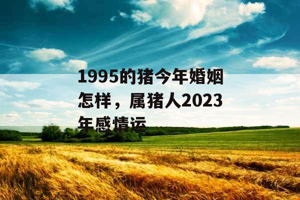 1995的猪今年婚姻怎样，属猪人2023年感情运