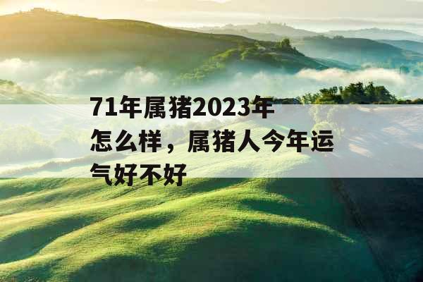71年属猪2023年怎么样,属猪人今年运气好不好 71年属猪2023年怎么样,属猪人今年运气好不好