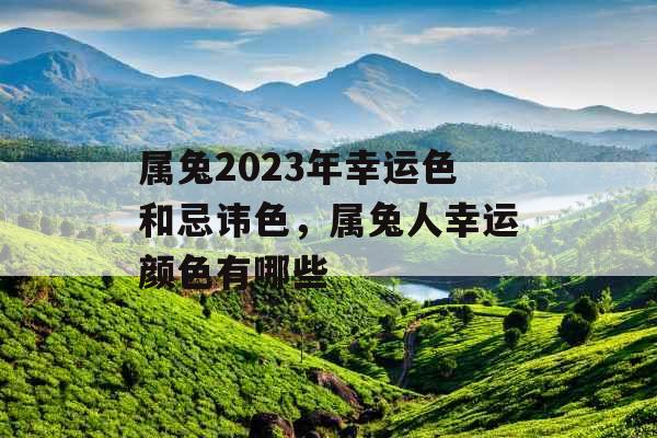 属兔2023年幸运色和忌讳色,属兔人幸运颜色有哪些 属兔2023年幸运色和忌讳色,属兔人幸运颜色有哪些