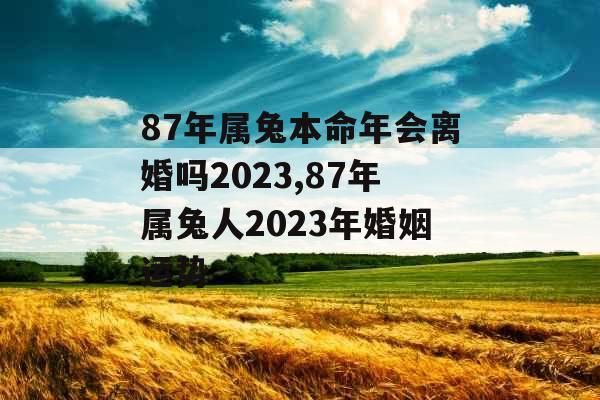 87年属兔本命年会离婚吗2023,87年属兔人2023年婚姻运势 87年属兔本命年会离婚吗2023,87年属兔人2023年婚姻运势