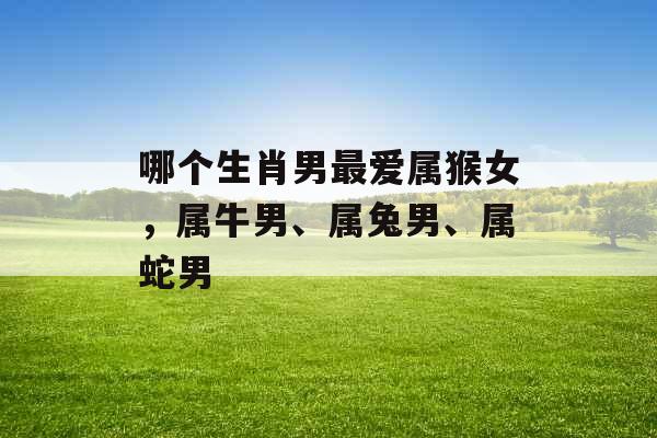 哪个生肖男最爱属猴女，属牛男、属兔男、属蛇男