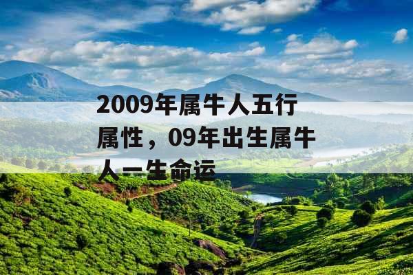 2009年属牛人五行属性,09年出生属牛人一生命运 2009年属牛人五行属性,09年出生属牛人一生命运