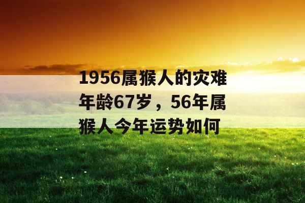 1956属猴人的灾难年龄67岁，56年属猴人今年运势如何