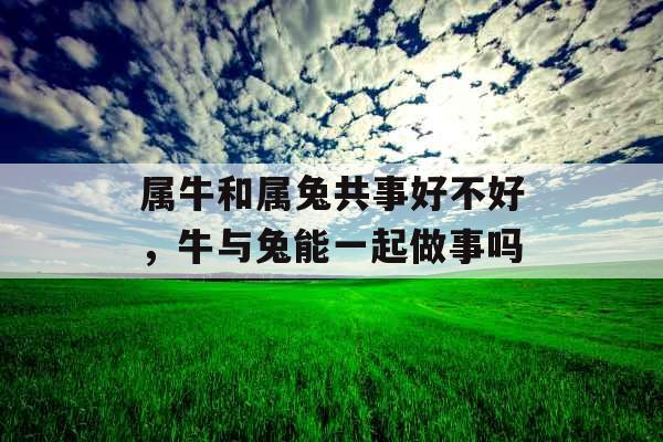 属牛和属兔共事好不好，牛与兔能一起做事吗