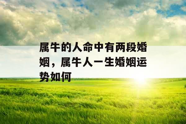 属牛的人命中有两段婚姻，属牛人一生婚姻运势如何