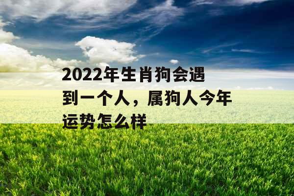 2022年生肖狗会遇到一个人，属狗人今年运势怎么样