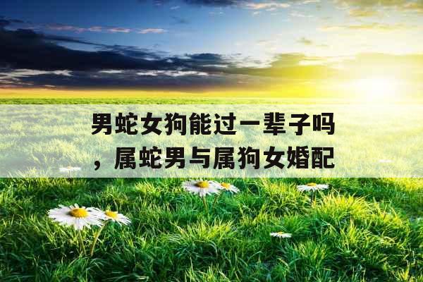 男蛇女狗能过一辈子吗，属蛇男与属狗女婚配