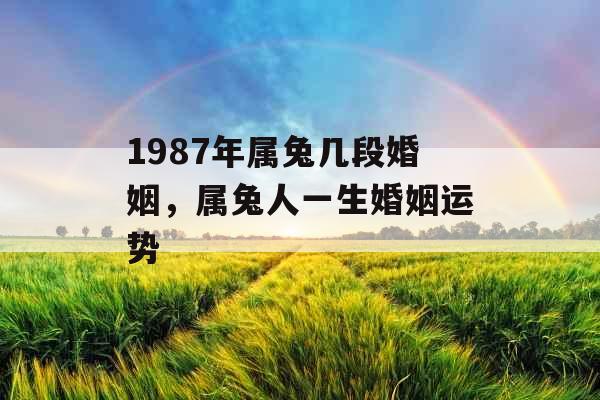 1987年属兔几段婚姻，属兔人一生婚姻运势