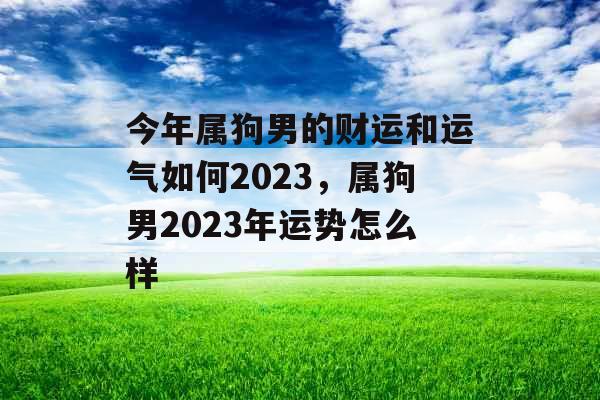 今年属狗男的财运和运气如何2023，属狗男2023年运势怎么样