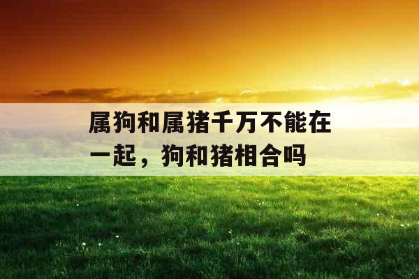 属狗和属猪千万不能在一起，狗和猪相合吗