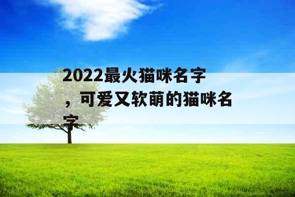2022最火猫咪名字，可爱又软萌的猫咪名字