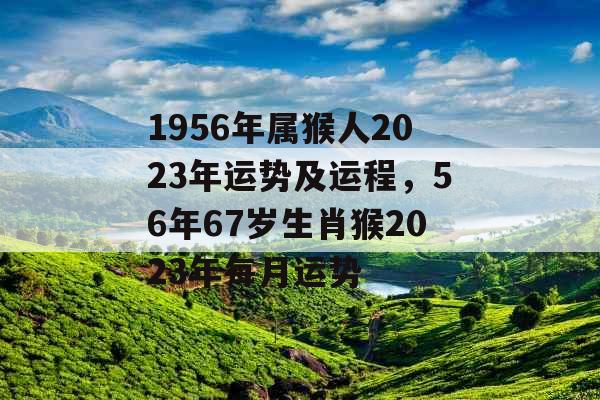1956年属猴人2023年运势及运程，56年67岁生肖猴2023年每月运势