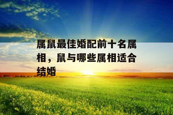 属鼠最佳婚配前十名属相,鼠与哪些属相适合结婚 属鼠最佳婚配前十名属相,鼠与哪些属相适合结婚