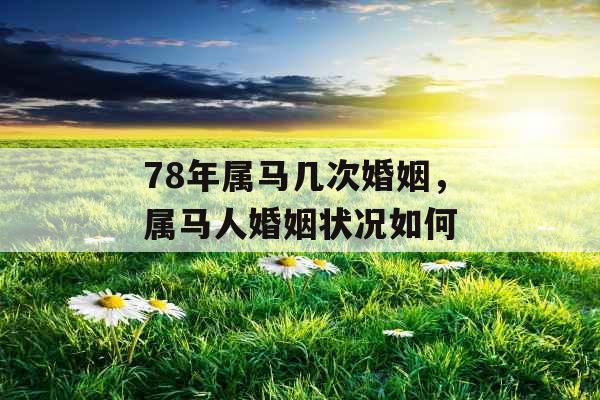 78年属马几次婚姻，属马人婚姻状况如何