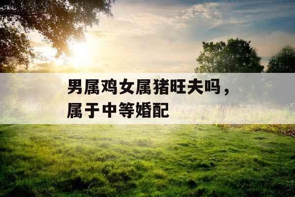 男属鸡女属猪旺夫吗，属于中等婚配