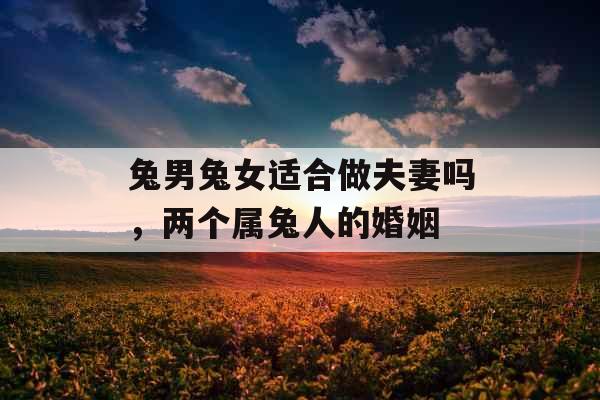 兔男兔女适合做夫妻吗，两个属兔人的婚姻