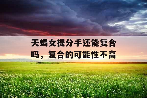 天蝎女提分手还能复合吗，复合的可能性不高
